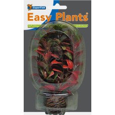 Easy Plants Low NR7